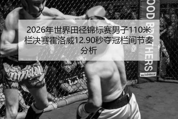 2026年世界田径锦标赛男子110米栏决赛霍洛威12.90秒夺冠栏间节奏分析